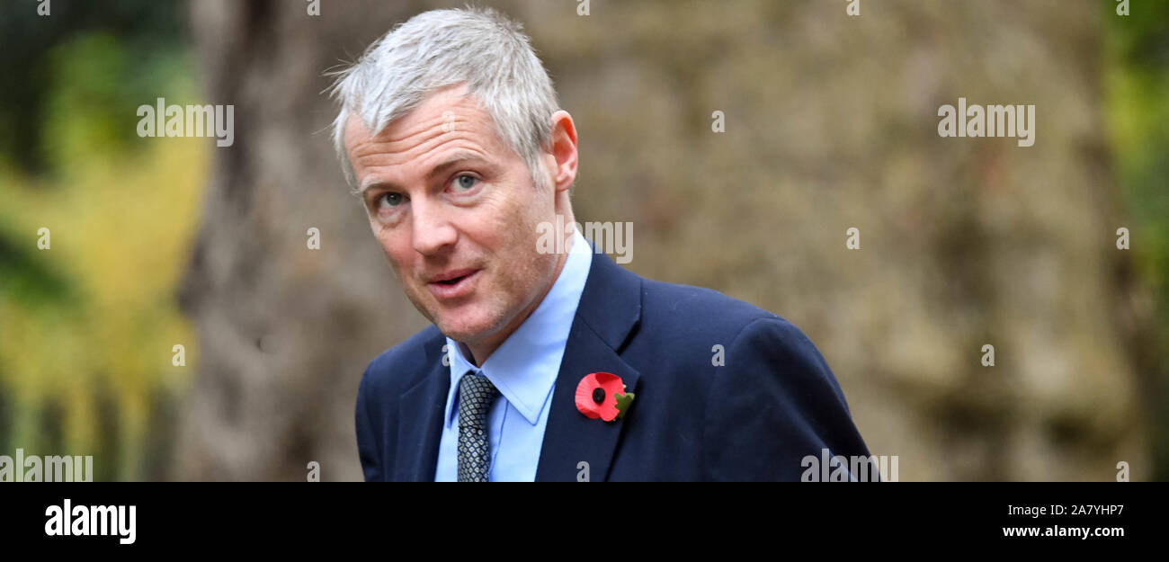 London UK 5 Nov 2019, Zac Goldsmith kommt an einer Kabinettssitzung am 10 Downing Street, London Credit Ian Davidson/Alamy leben Nachrichten Stockfoto