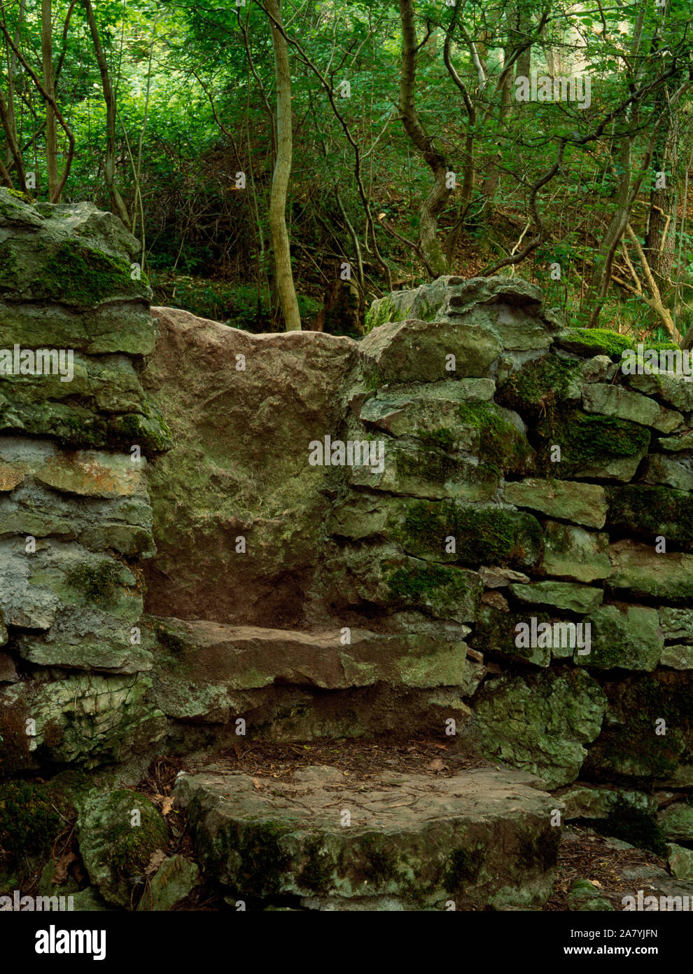 Stil aus Stein restauriert im Coed Henblas, graigfechan. Wanderwege durch Wald Zusammenführen in einem umgebauten Kalkstein platte Stil in einem trockenmauern Wand gesetzt. Stockfoto