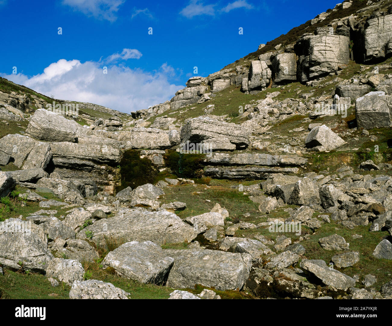 Ely Eglwyseg, Llangollen, Aus in der Nähe von Rock Farm. Ein kleiner Bach fließt aus dem Moor durch dramatische Aufschlusses von Karbon Kalkstein. Stockfoto