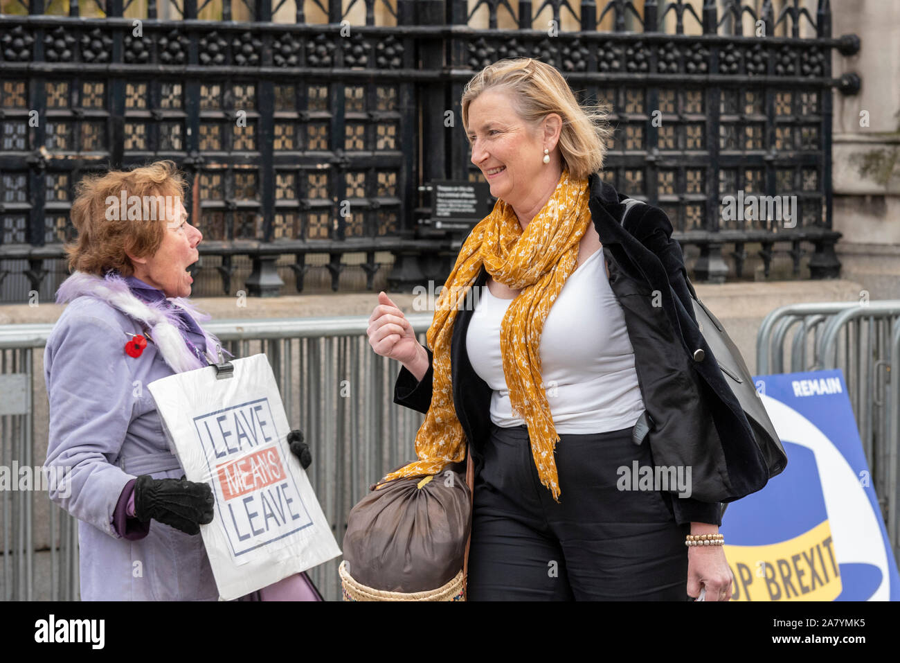 Westminster, London, Großbritannien. November 2019, 5th. Mitglieder des Parlaments kommen zum Unterhaus für ihren letzten Tag der Debatten, bevor das Parlament zur Vorbereitung der Parlamentswahlen am 12th. Dezember aufgelöst wird. Damit beginnt eine Phase, die als "Purdah" bekannt ist, in der keine wichtigen politischen Ankündigungen oder Zusagen gemacht werden. Die Abgeordneten verlieren auch ihre Titel, wenn ihre Sitze frei werden. Pro Brexit-Protesterin mit Sarah Wollaston am letzten Tag Stockfoto