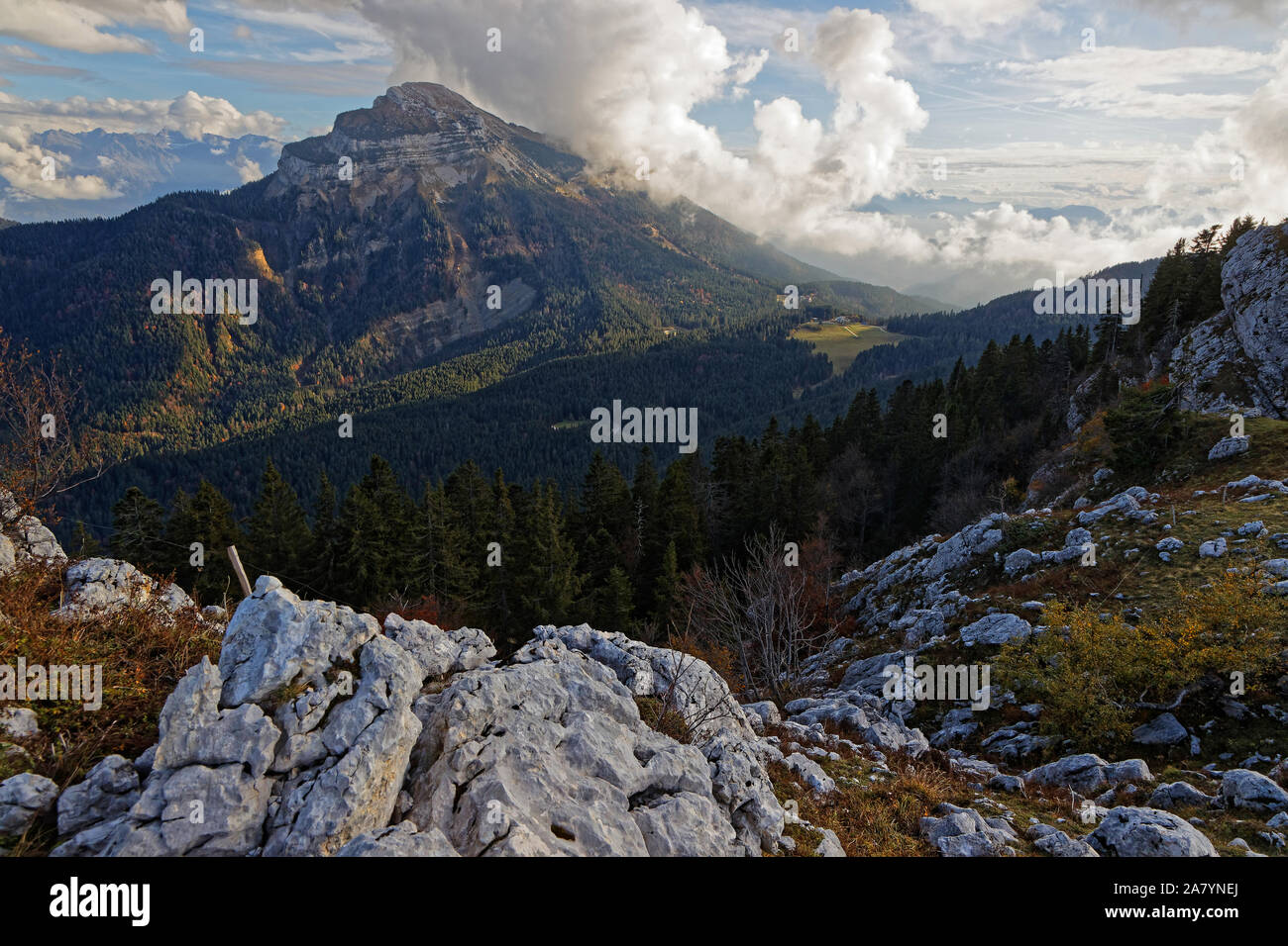 Chamechaude Gipfel als von Charmant-Som weiden gesehen, in der Chartreuse, eine französische Alpen Stockfoto