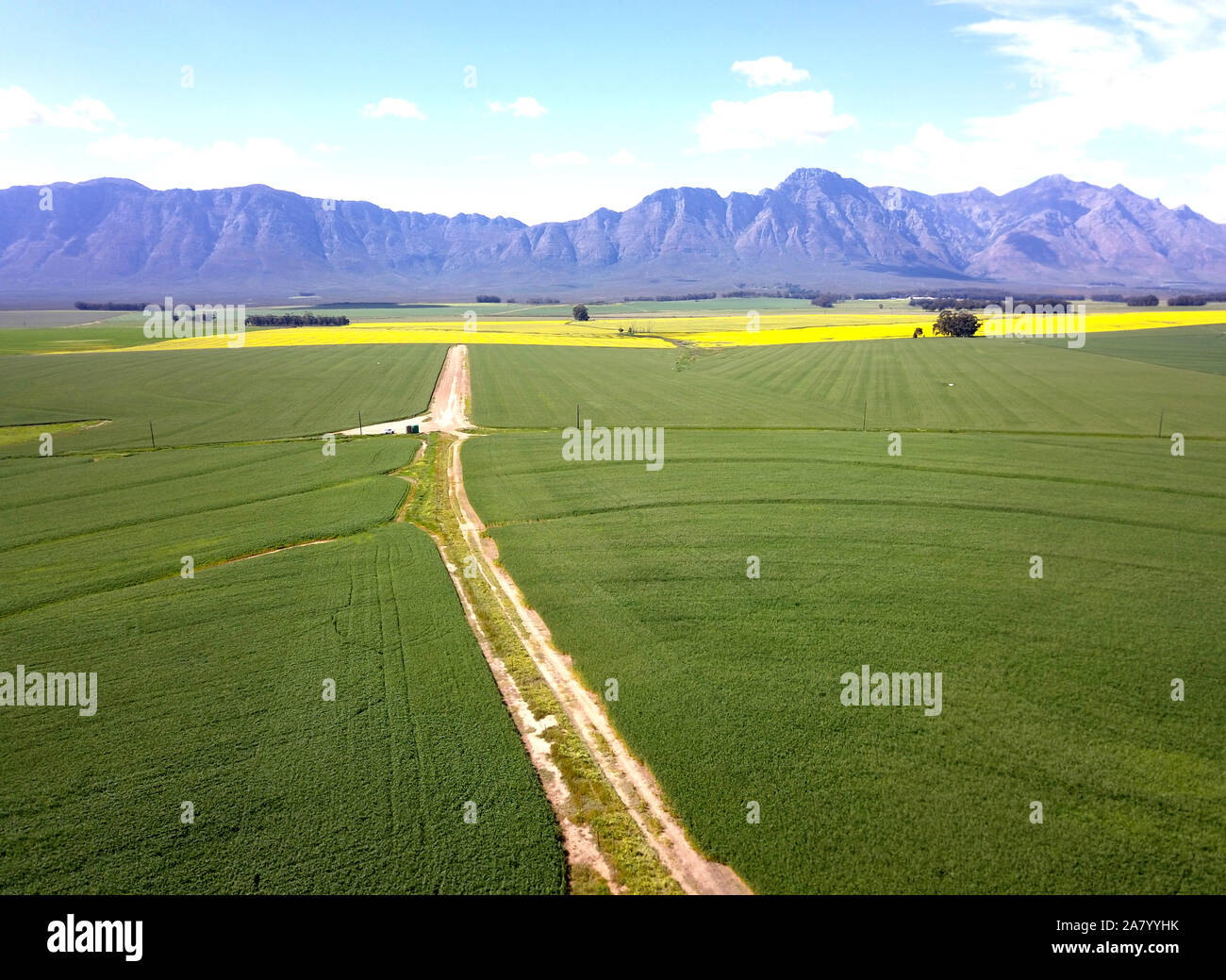 Antenne mit grünen und gelben Felder mit Bergen Stockfoto