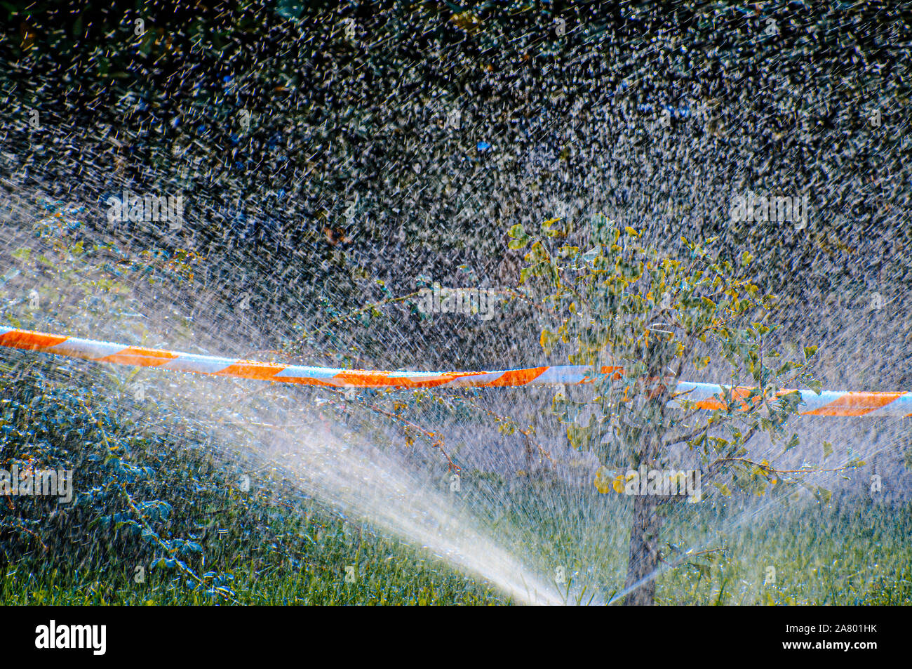 Wasser sprühen aus einem Sprinkler Stockfoto