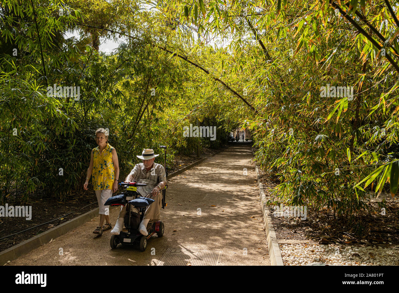 Mann in motorisierten Rollstuhl mit Frau Begleiter im Parque Garcia Sanabria Park in Santa Cruz de Tenerife, Kanarische Inseln, Spanien Stockfoto