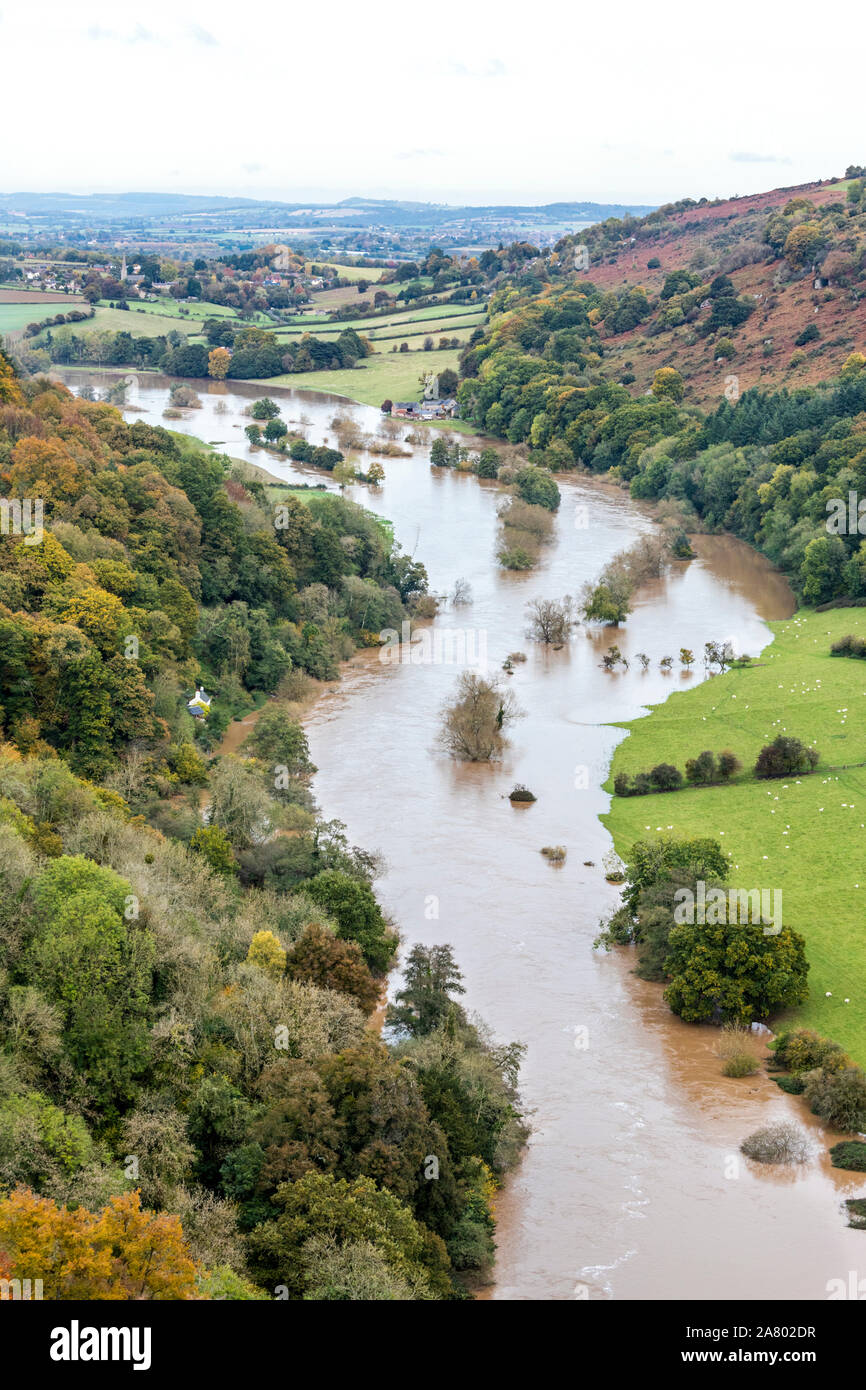 Der Fluss Wye in der Flut unter Coppett Hill am 28.10.2019 von Symonds Yat Rock, Herefordshire UK gesehen - die Überschwemmung wurde aufgrund der starken Regen in Wales. Stockfoto