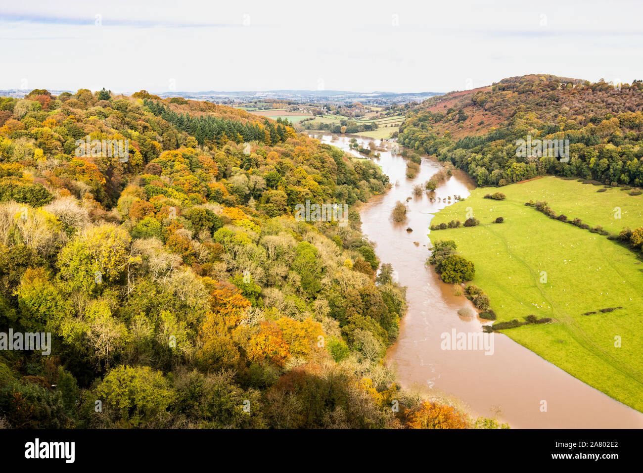 Der Fluss Wye in der Flut unter Coppett Hill am 28.10.2019 von Symonds Yat Rock, Herefordshire UK gesehen - die Überschwemmung wurde aufgrund der starken Regen in Wales. Stockfoto