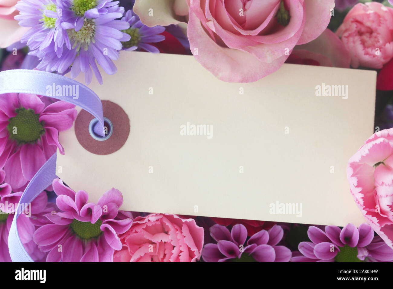 Leeres Papier Aufkleber auf rosa Blüten Stockfoto