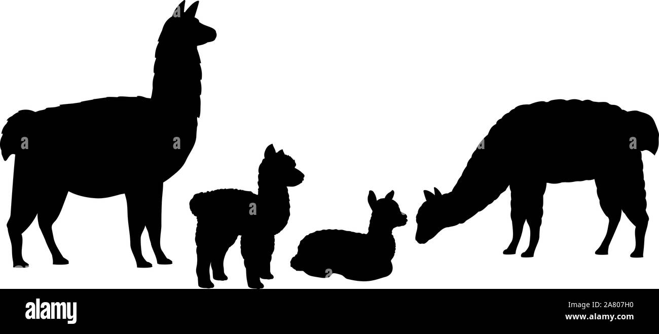 Alpaka Lama Familie. Silhouetten von Tieren. Vektor Illustrator Stock Vektor