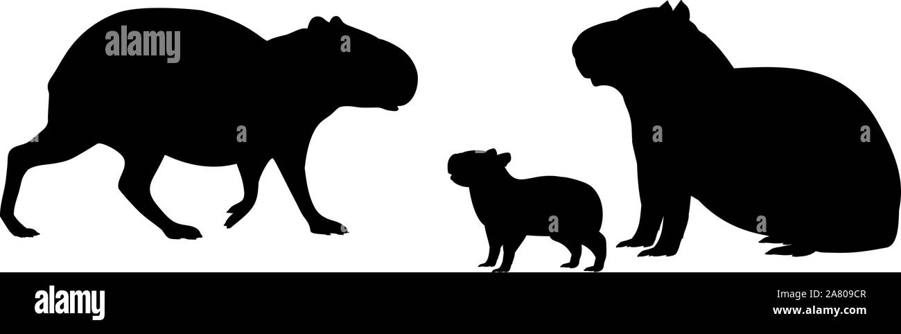 Capybara Familie. Silhouetten von Tieren. Vektor Illustrator Stock Vektor