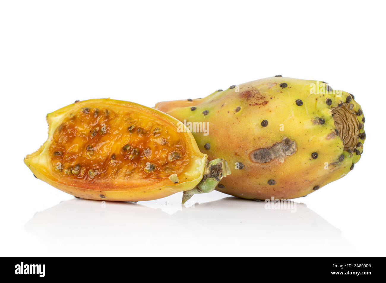 Gruppe von einer ganzen Hälfte der stachelige grüne Opuntia auf weißem Hintergrund Stockfoto