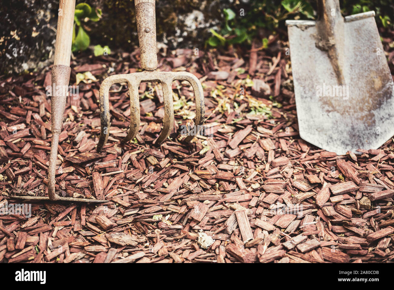 Schmutzig und alt Gartengeräte oder Garten Anlagen stehen auf dem Rindenmulch Boden Stockfoto