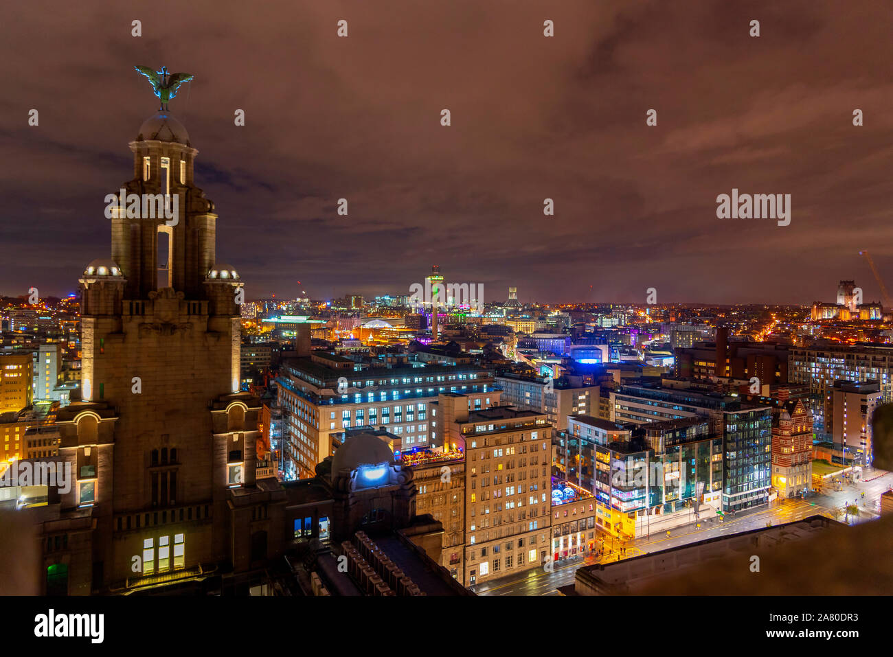 Liverpool und Liverbird Gebäude bei Nacht. Stockfoto
