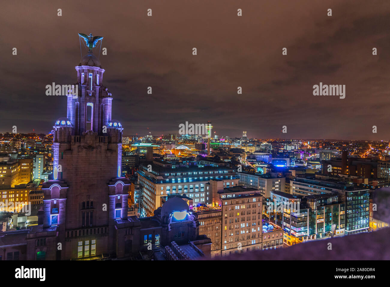 Liverpool und Liverbird Gebäude bei Nacht. Stockfoto