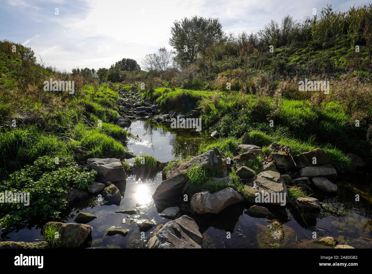 Datteln, Ruhrgebiet, NordrheinWestfalen, Deutschland Renaturiert
