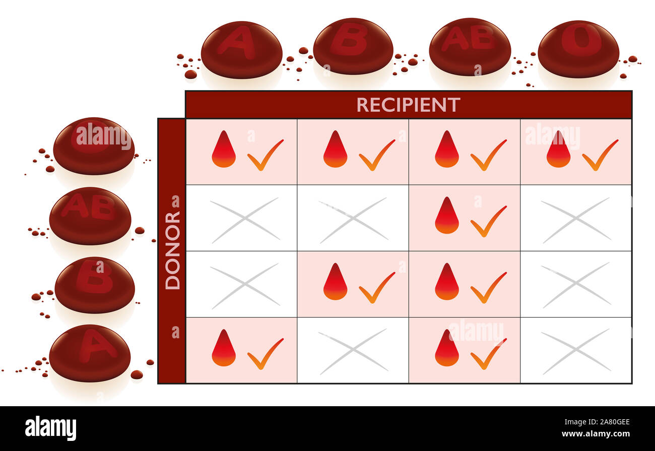 Blutgruppen transfusion Kompatibilitätstabelle mit Spalte und Zeile für Geber und Empfänger. Kompatibel Felder mit Häkchen. Stockfoto