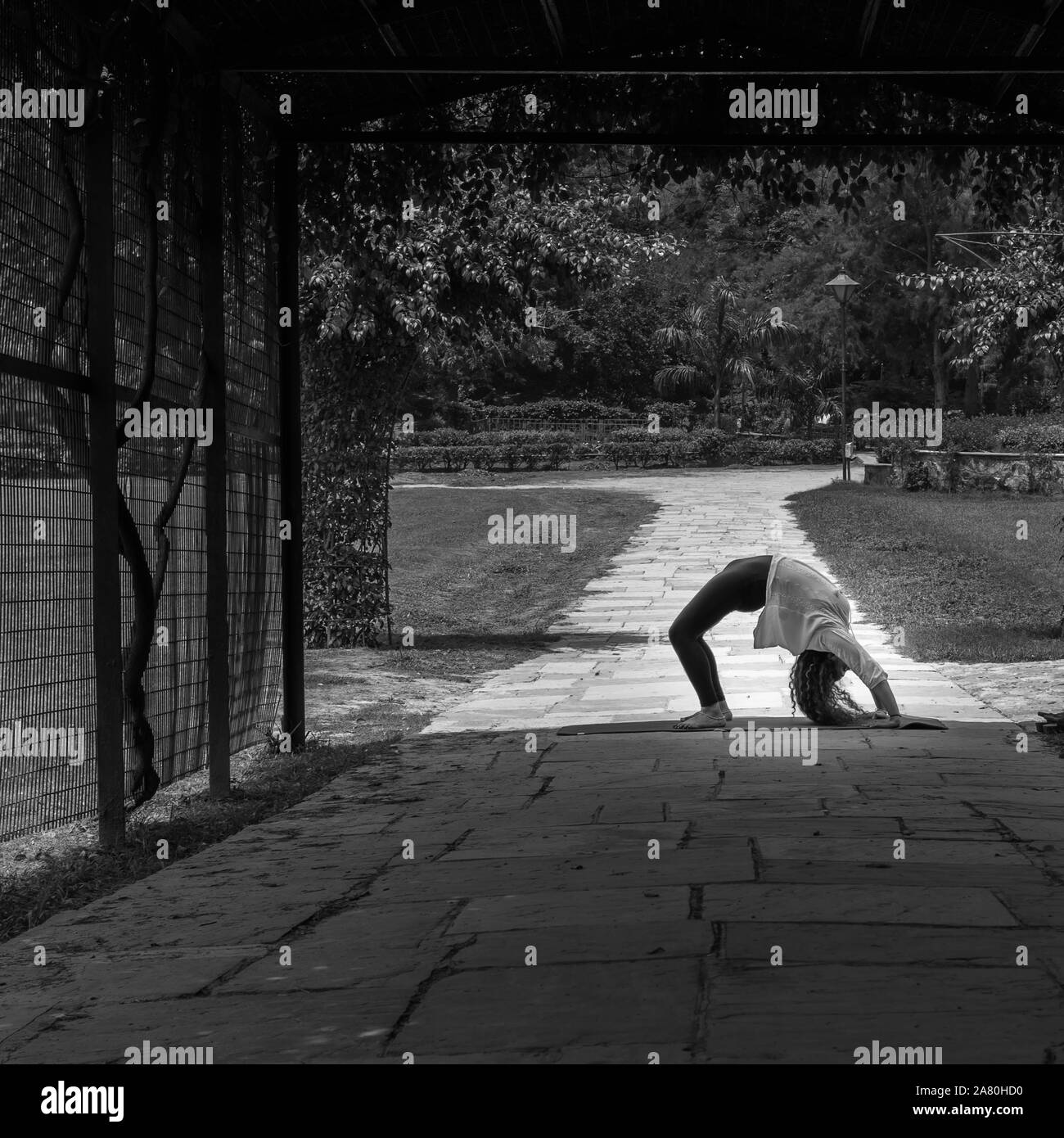 Die Schwarz-Weiß-Fotografie frau yoga, chakrasana darstellen, in Lodhi Garten in Neu-Delhi, Indien Stockfoto