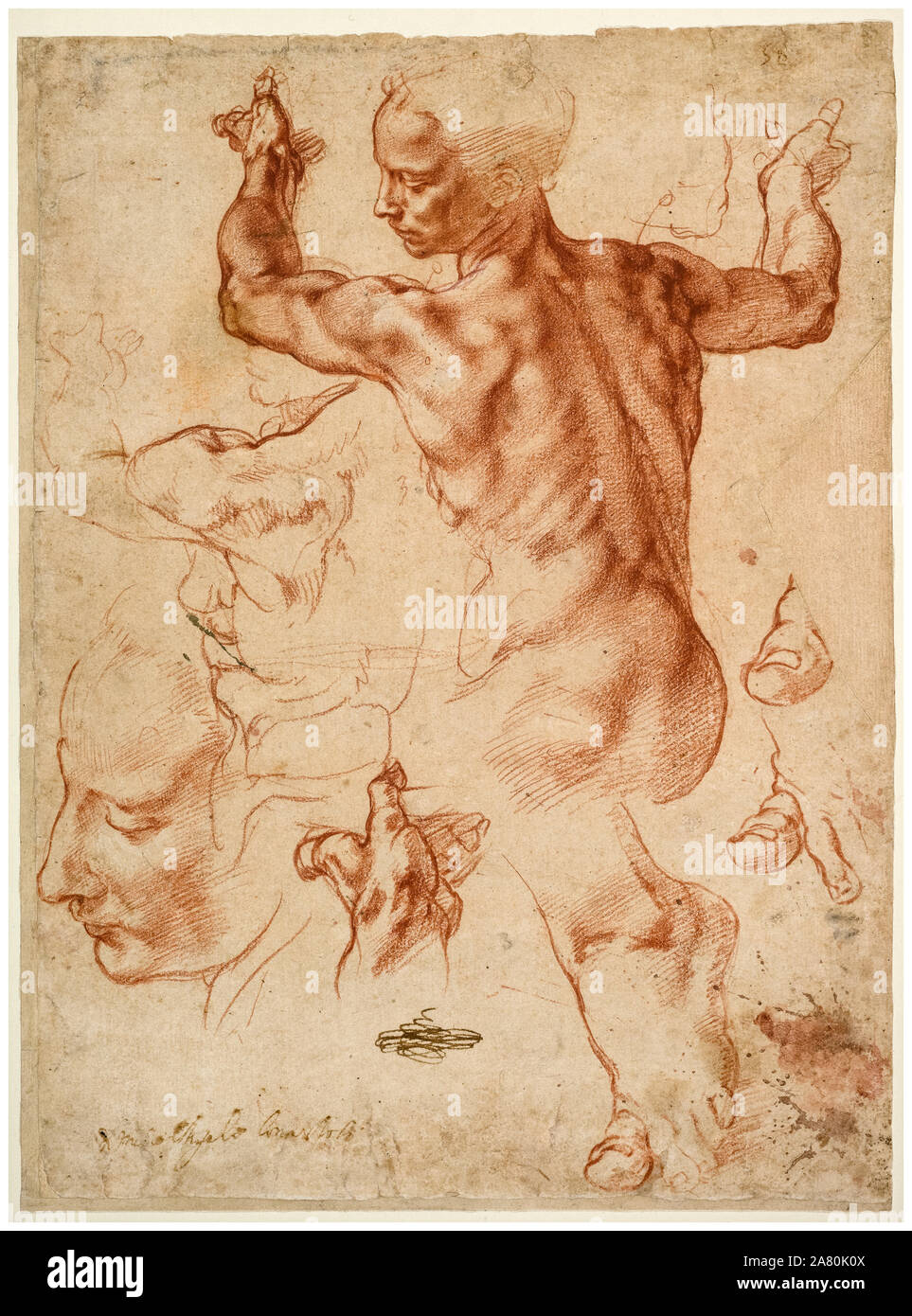 Michelangelo Buonarroti, Studien für Guernica, Zeichnung, ca. 1510 Stockfoto