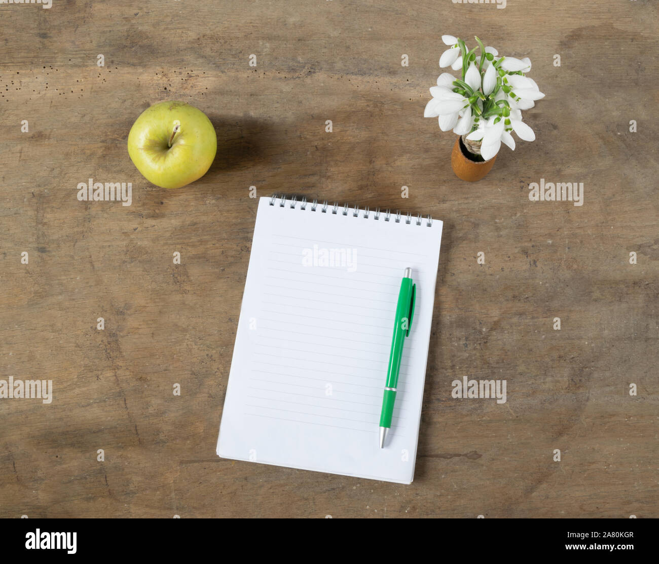 Notebook mit leeren Seiten, Stift, Apple und Schneeglöckchen auf hölzernen Tisch öffnen. Stockfoto