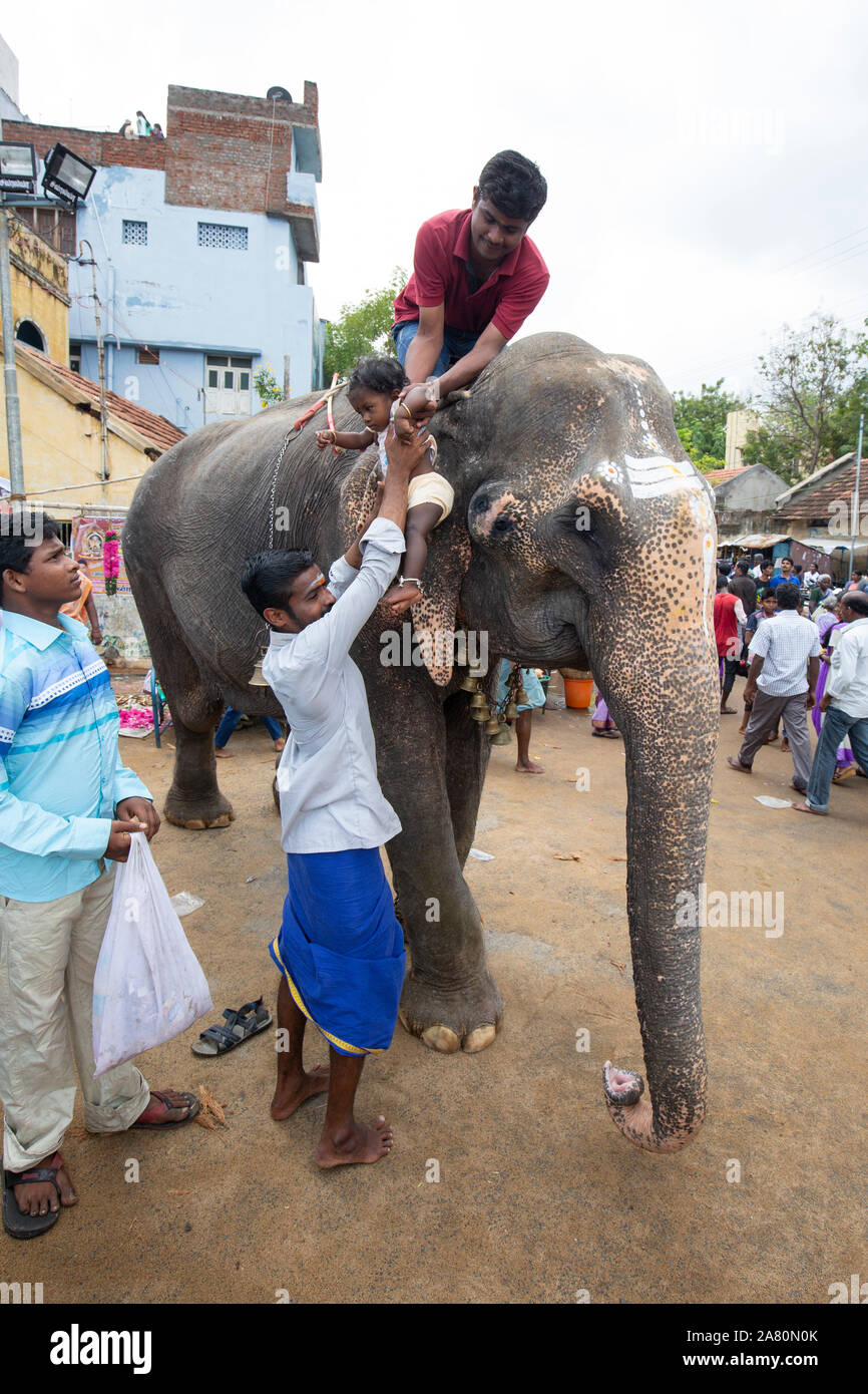 Mahout anheben Baby Mädchen auf elefantenkuh während Kutti Kudithal Festival in Trichy, Tamil Nadu, Indien Stockfoto