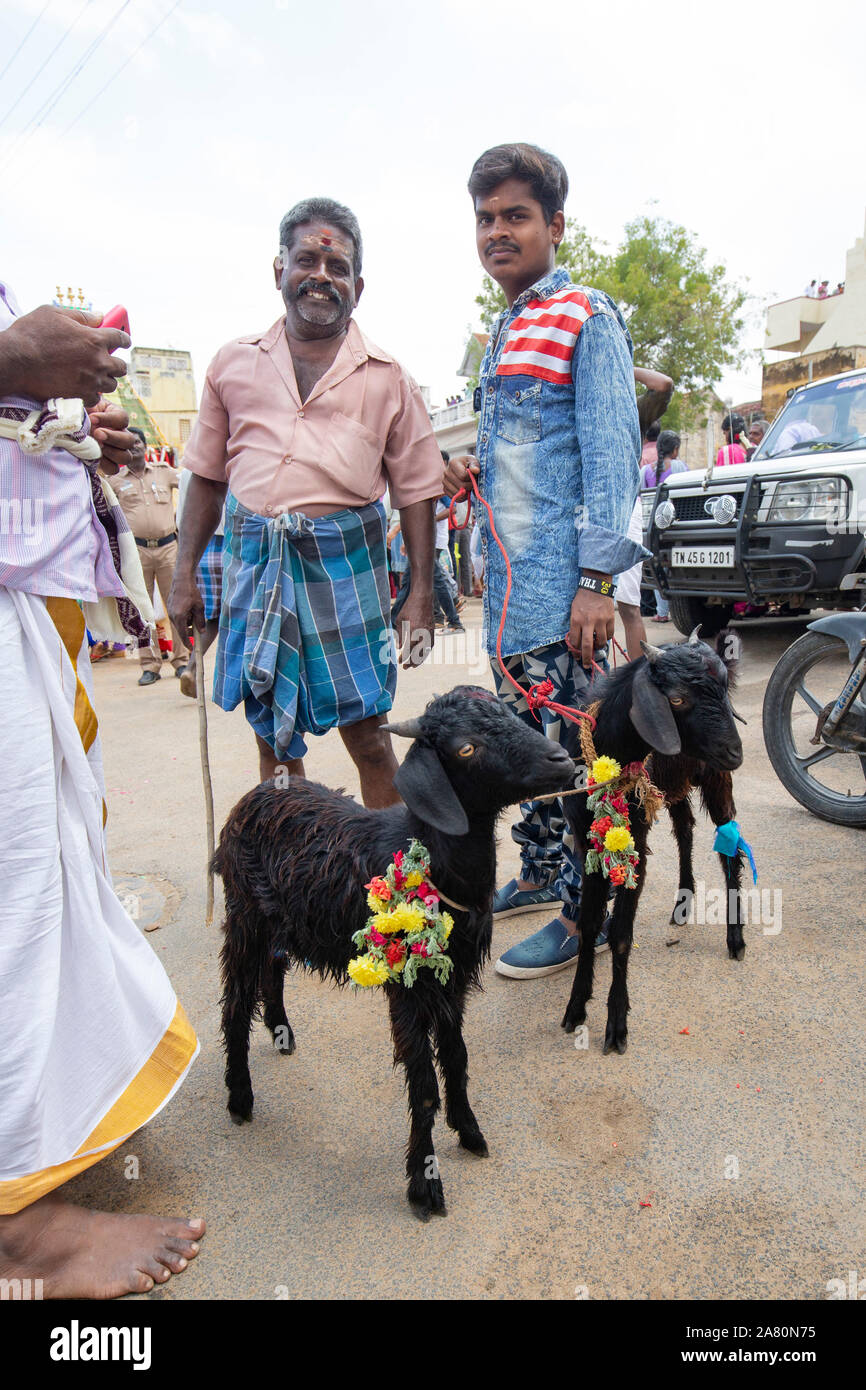 Zwei Männer halten ihre jungen Ziegen am Kutti Kudithal Festival in Trichy, Tamil Nadu, Indien Stockfoto