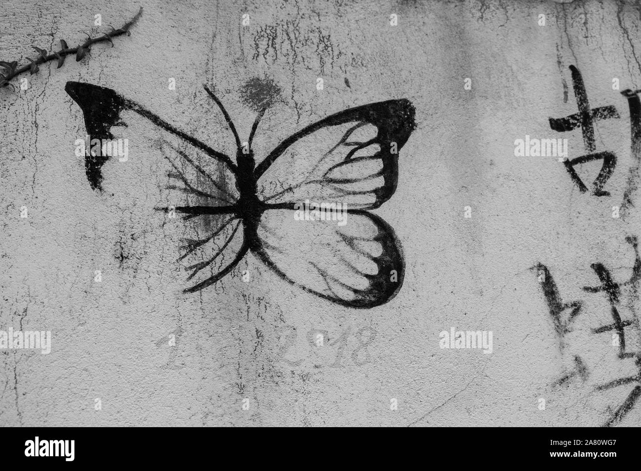 Schmetterling Schablone auf einer Seitenwand an Frankreich Stockfoto