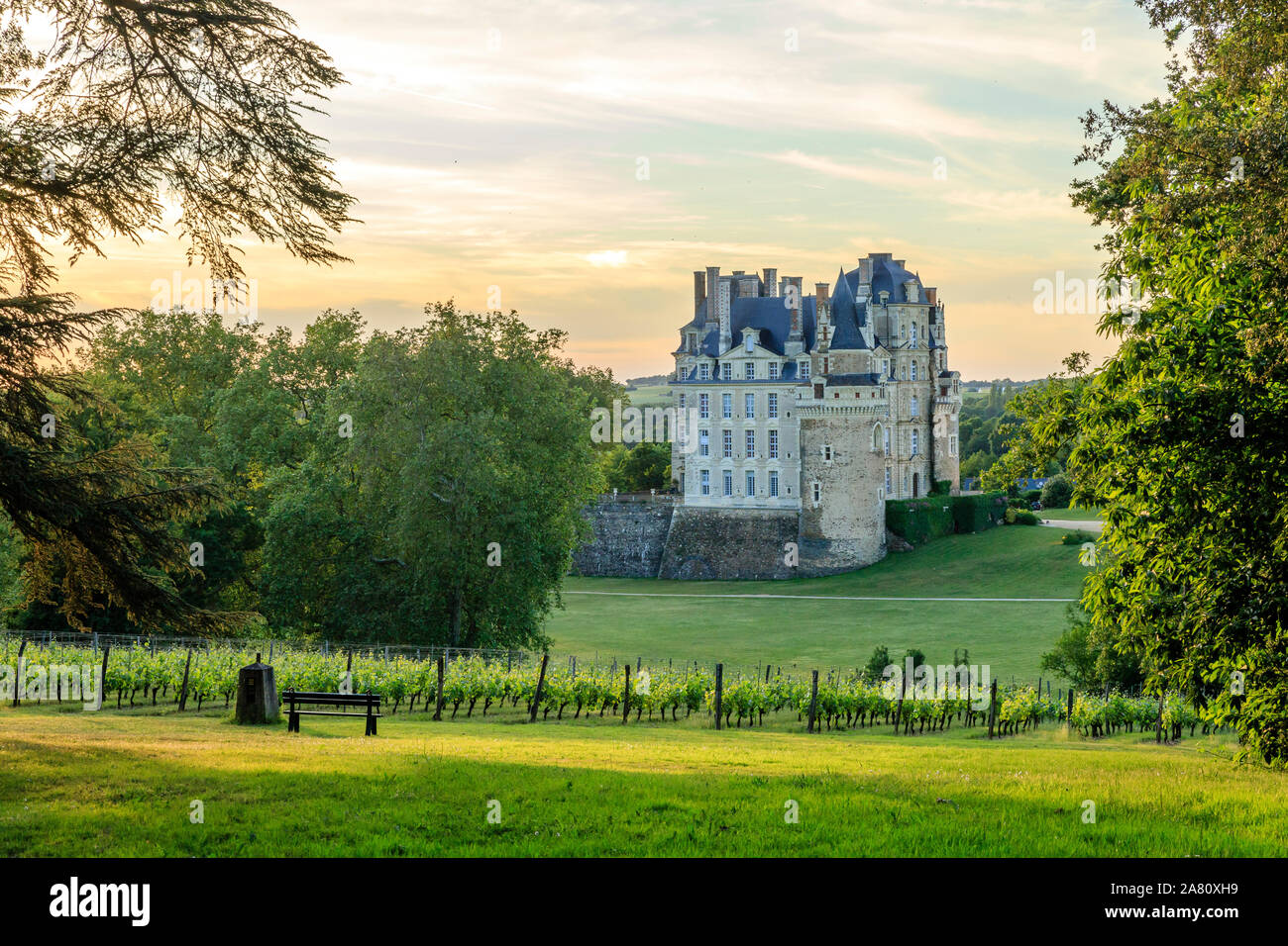 Frankreich, Maine et Loire, Brissac Loire Aubance, Chateau de Brissac und Park, die fünf Jahrhunderte Weinberg // Frankreich, Stockfoto