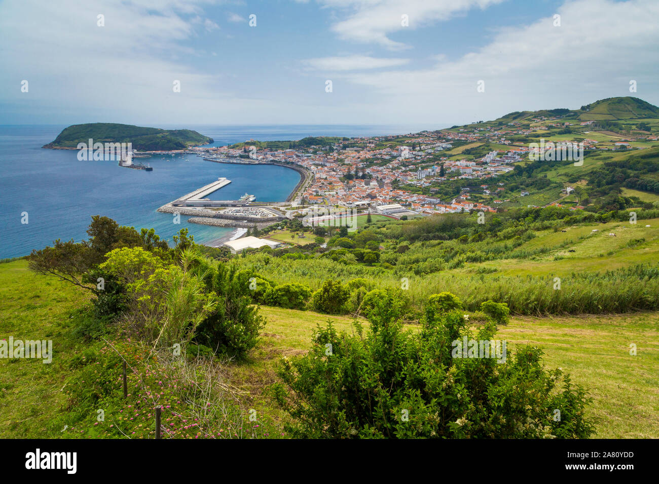 Horta Insel Faial, Azoren, Portugal. Sommer sonnigen Tag mit wenigen Wolken. Grüne Felder. Panoramablick. Stockfoto