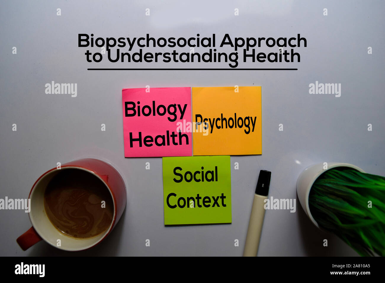Biopsychosoziale Ansatz zum Verständnis der Methode Text mit Keywords auf dem Whiteboard Hintergrund isoliert. Diagramm oder Mechanismus Konzept. Stockfoto
