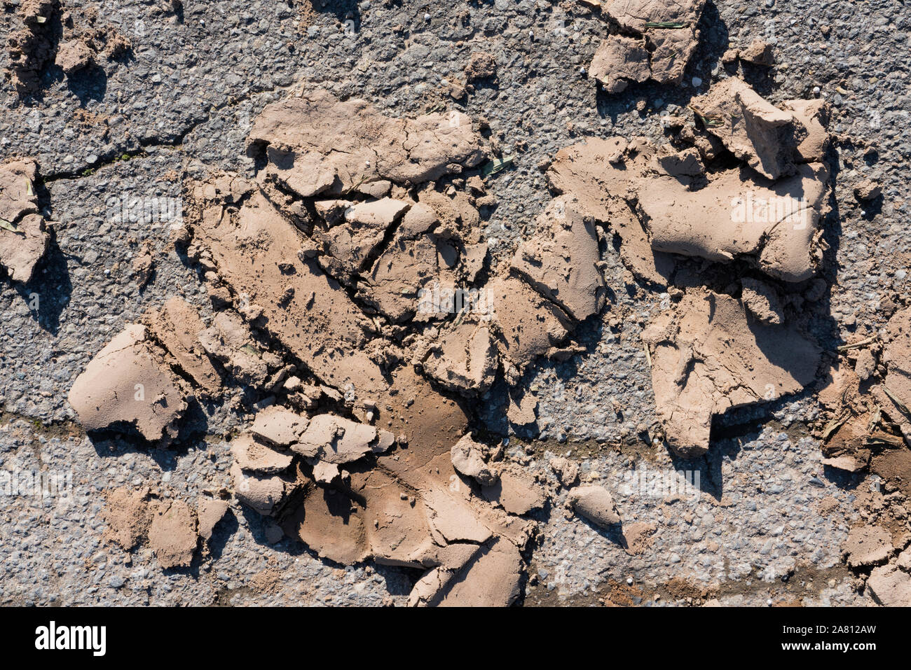 Schlamm auf Asphalt Stockfoto