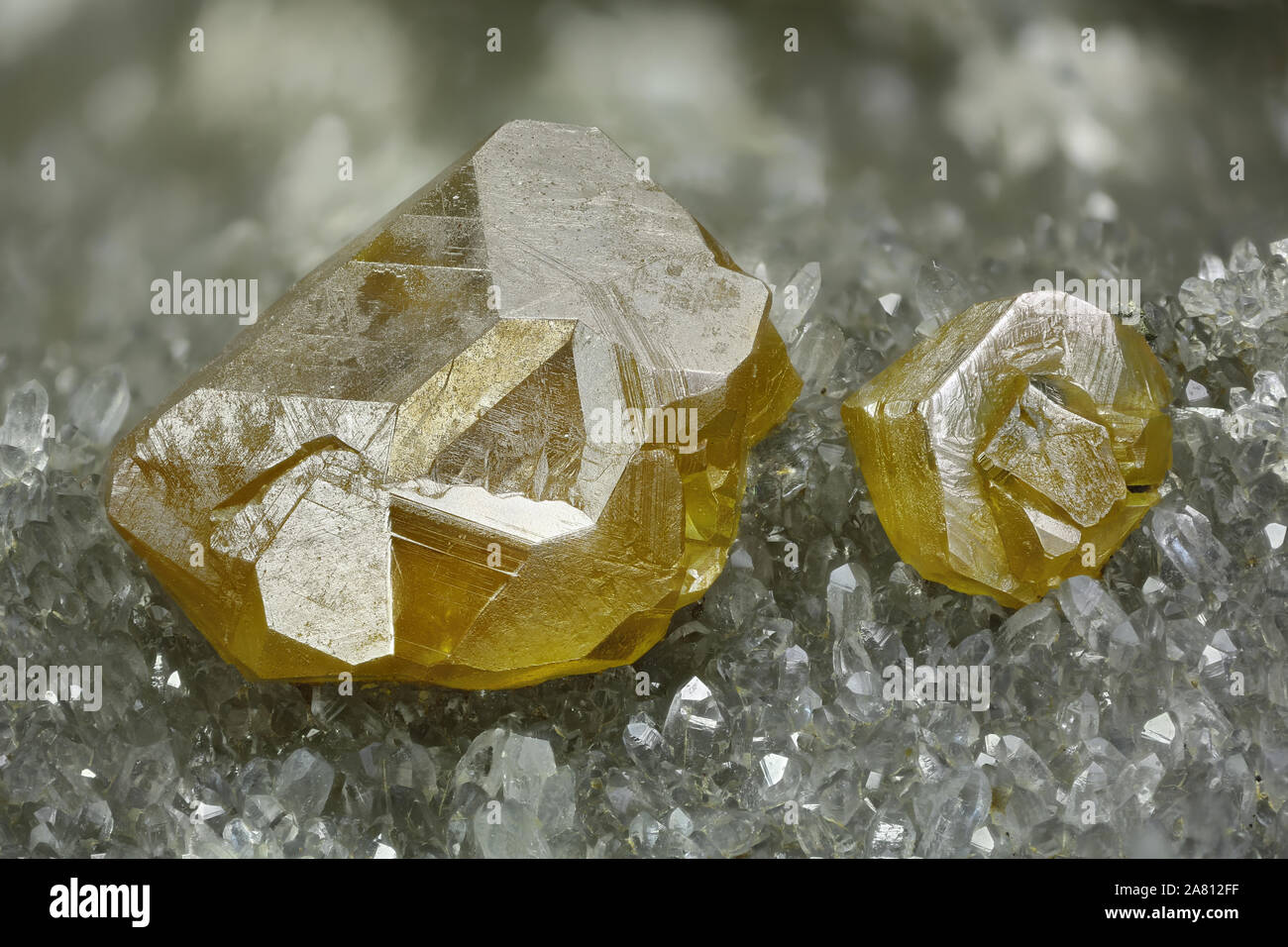 7.48 mm Gruppe von gelben Sphalerit Kristalle von Campo di Sasso, Bibbona, Provinz Livorno, Toskana, Italien Stockfoto