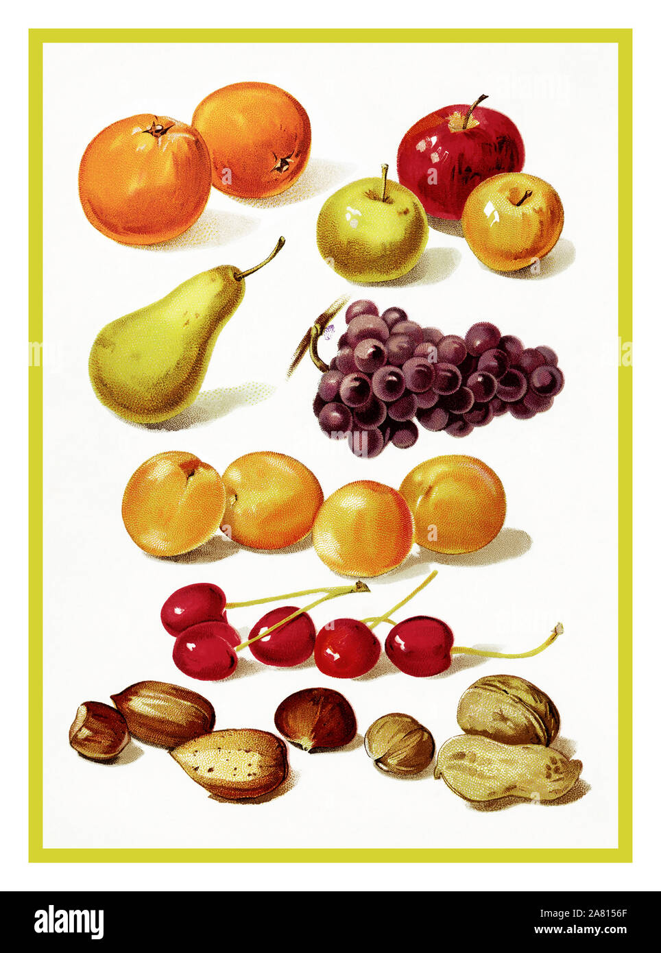 Vintage Obst gesunde Ernährung 1890 Seite Abbildung enthält die farbenfrohen Illustrationen von: Orangen, Äpfel, Birnen, Trauben, Pfirsiche, Kirschen und ein Sortiment von Muttern. Abbildung aus dem antiken Schule Lektion buchen Sie unser kleines Buch für kleine Leute, 1896. Stockfoto