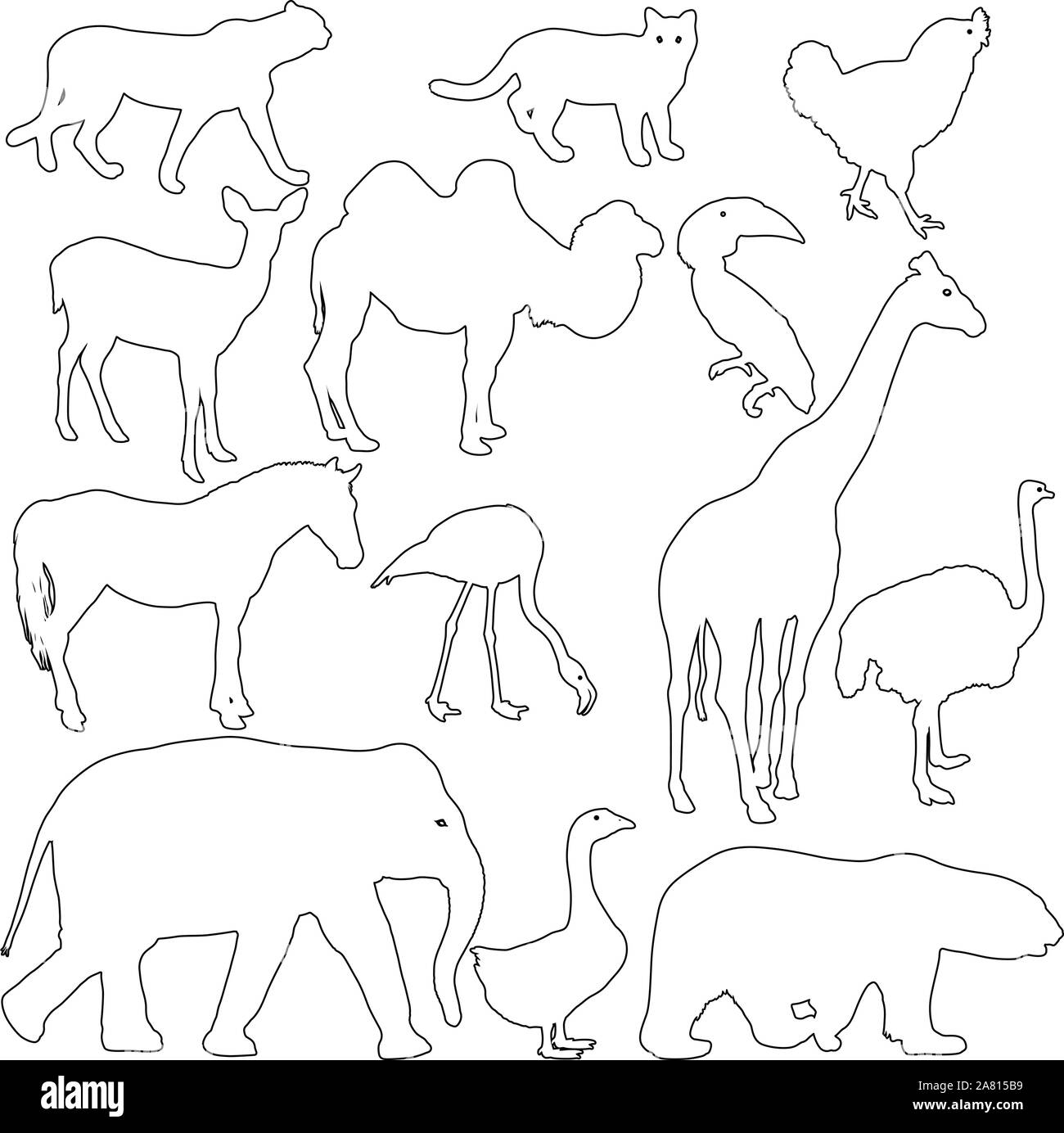 Silhouette Elefant bear eagle Trab Ente zebra Papagei auf einem weißen Hintergrund. Stock Vektor