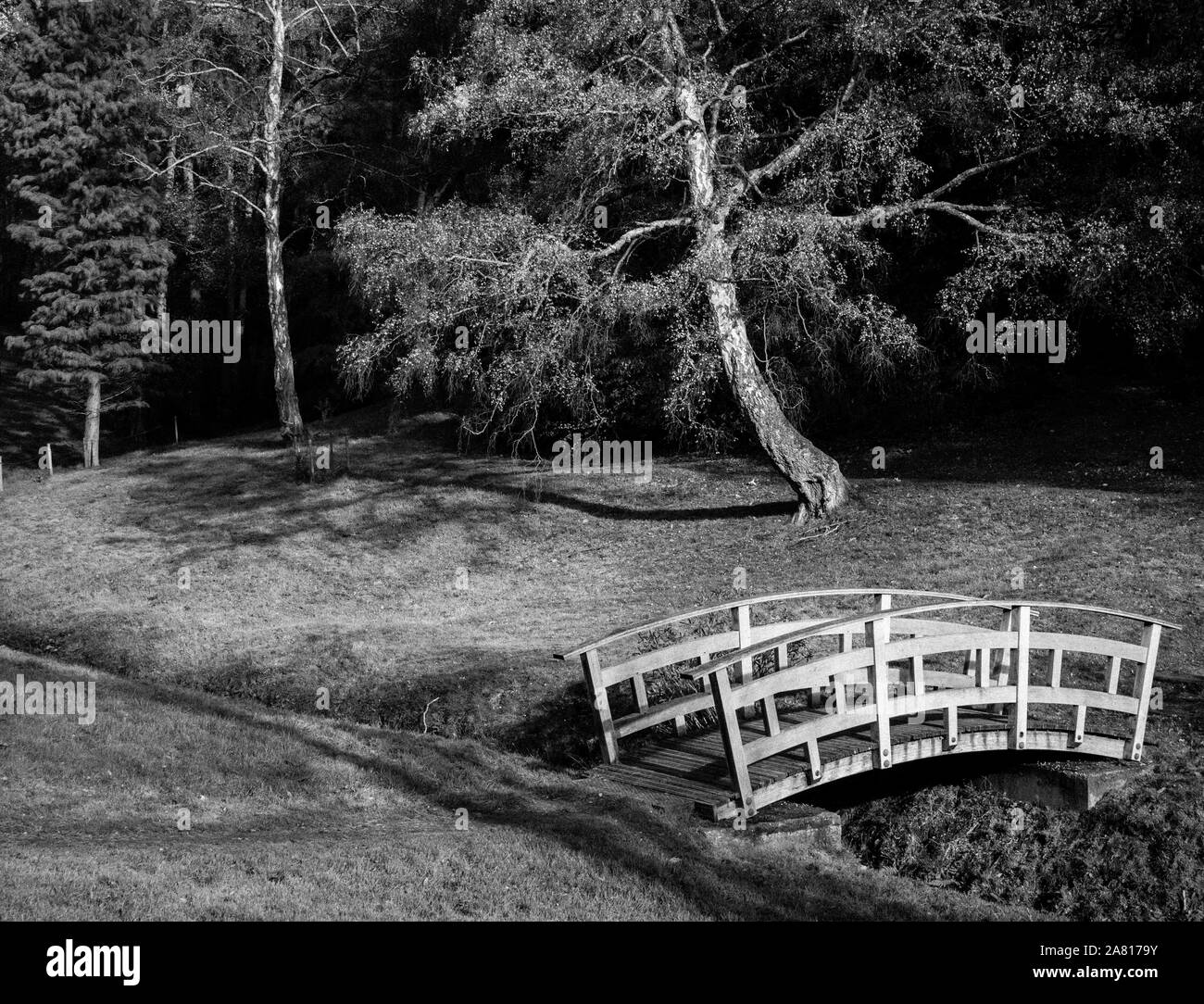 Malerische Brücke, sanften Hügeln, den Valley Gardens, Windsor Great Park, Surrey, England, UK, GB. Stockfoto