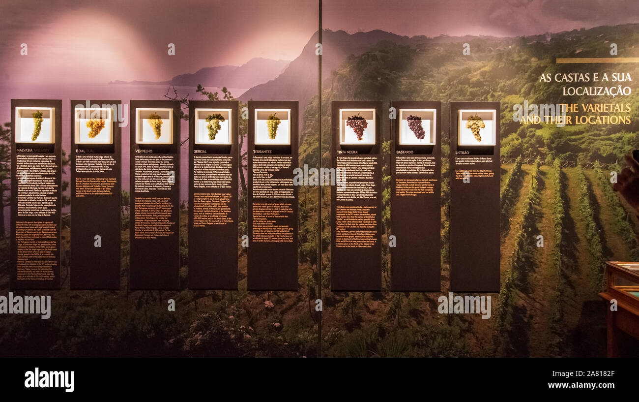 Ausstellung in den Weinhöhlen von Madeira, die die Geschichte und Meilensteine der Weinproduktion von Madeira mit historischen Bildern und Artefakten zeigen Stockfoto