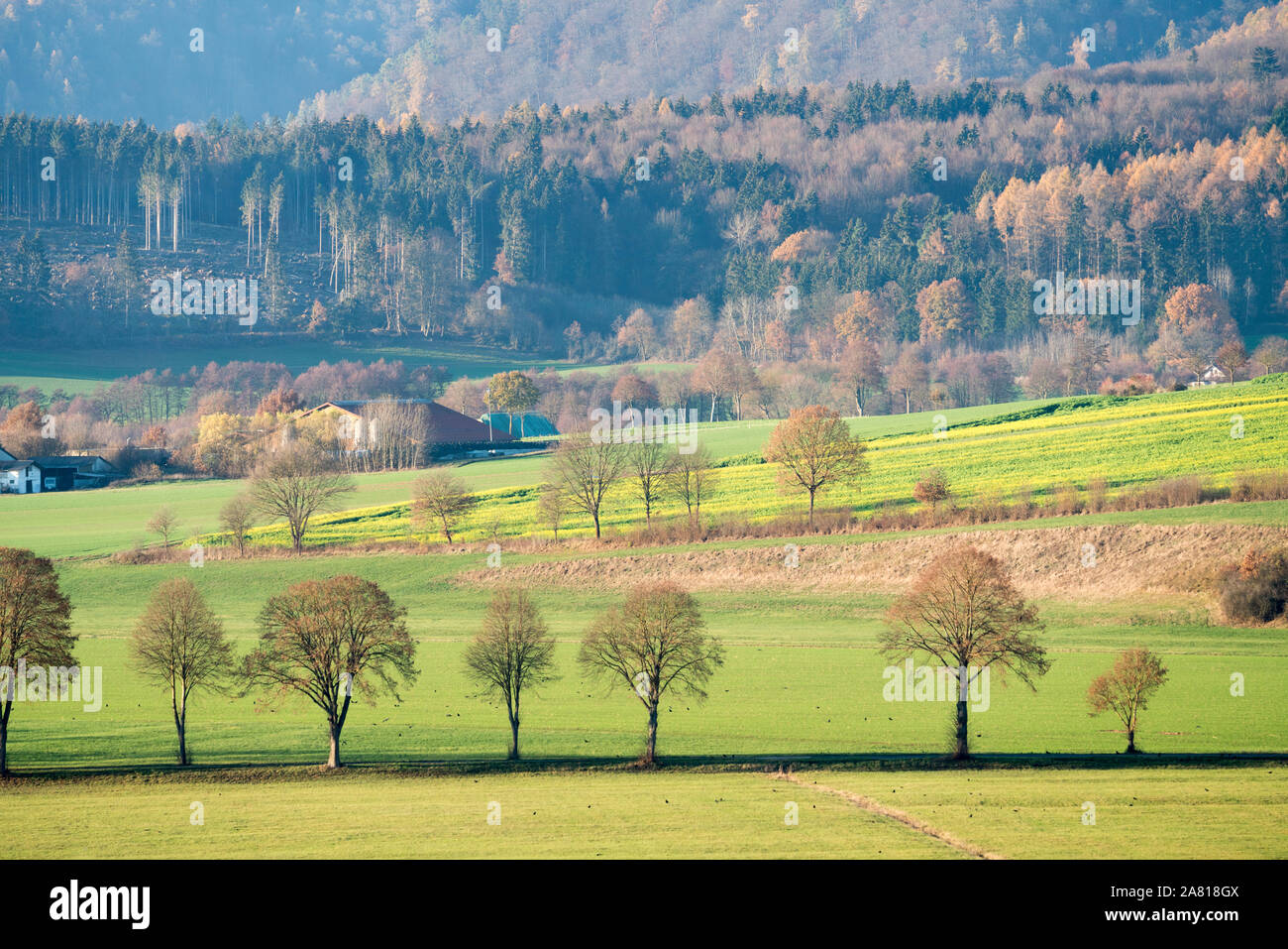 Blick auf den Solling Wald, Weser, Niedersachsen, Deutschland Stockfoto