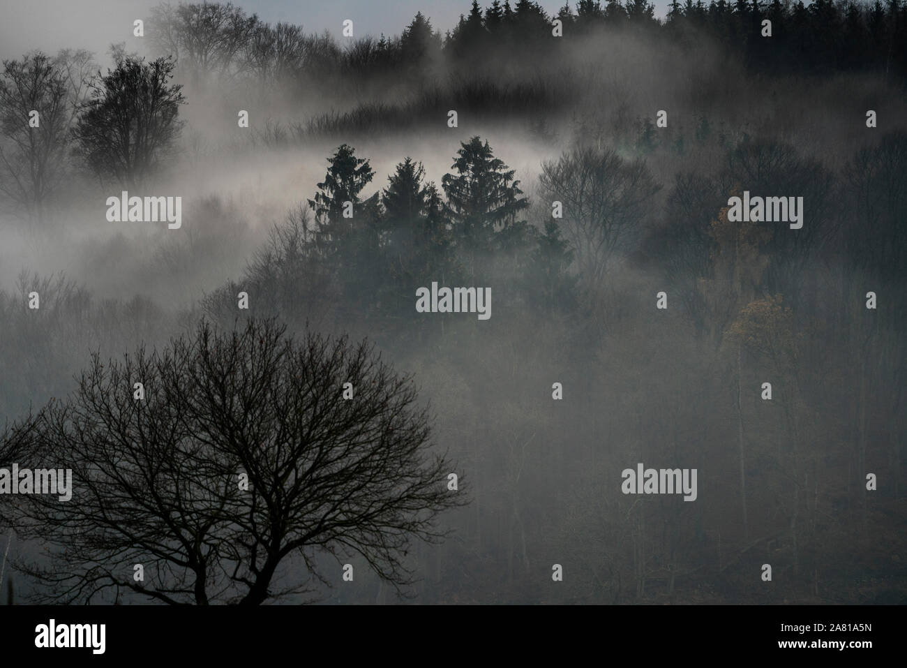 Neblige Landschaft, in der Nähe von Oberweser, Weserbergland, Nordrhein-Westfalen, Hessen, Deutschland; Stockfoto