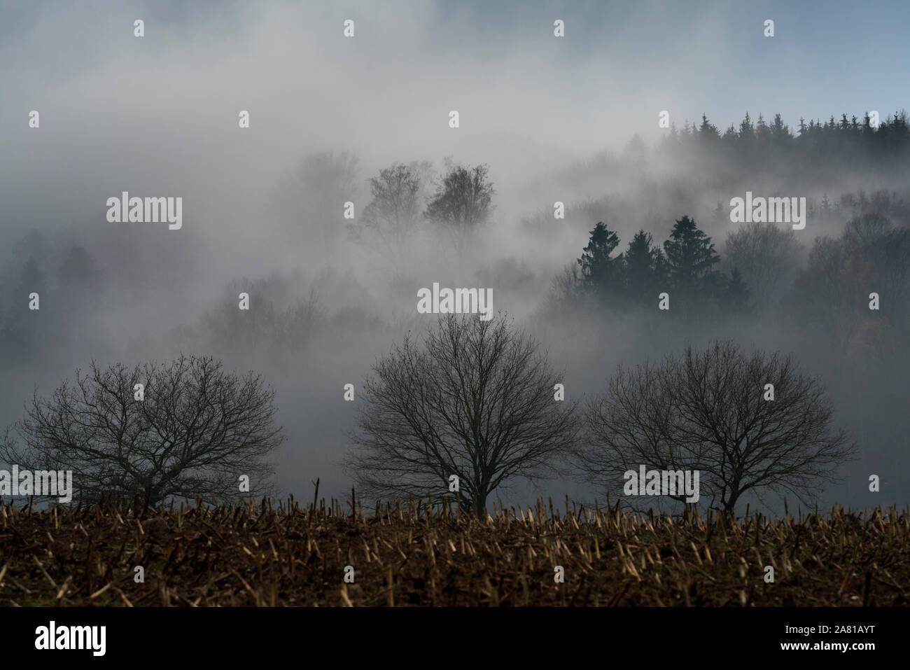Neblige Landschaft, in der Nähe von Oberweser, Weserbergland, Nordrhein-Westfalen, Hessen, Deutschland; Stockfoto
