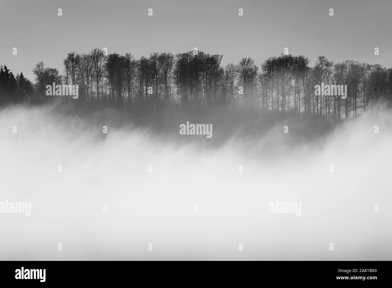 Neblige Landschaft, in der Nähe von Oberweser, Weserbergland, Nordrhein-Westfalen, Hessen, Deutschland; Stockfoto