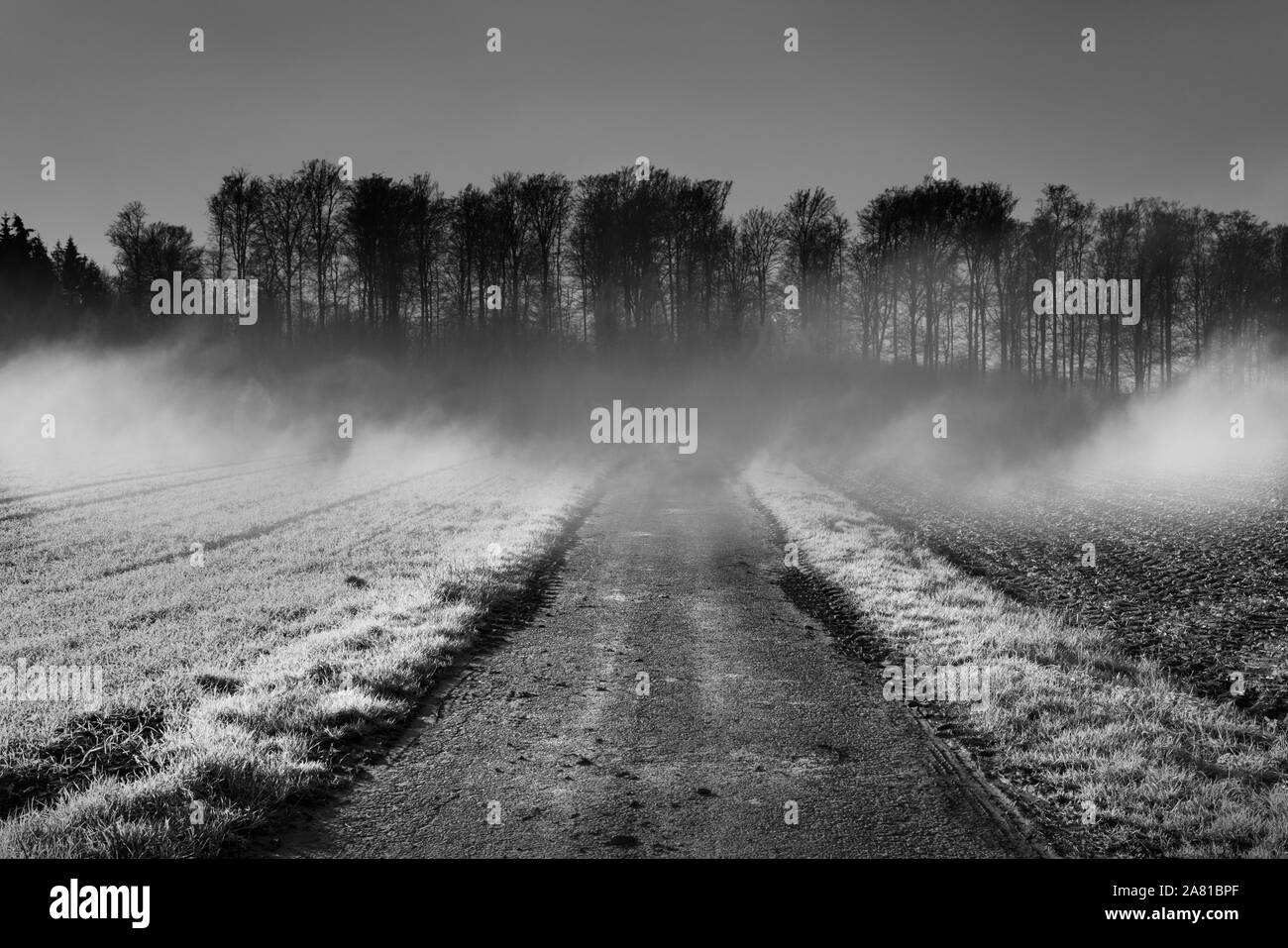 Neblige Landschaft, in der Nähe von Oberweser, Weserbergland, Nordrhein-Westfalen, Hessen, Deutschland; Stockfoto