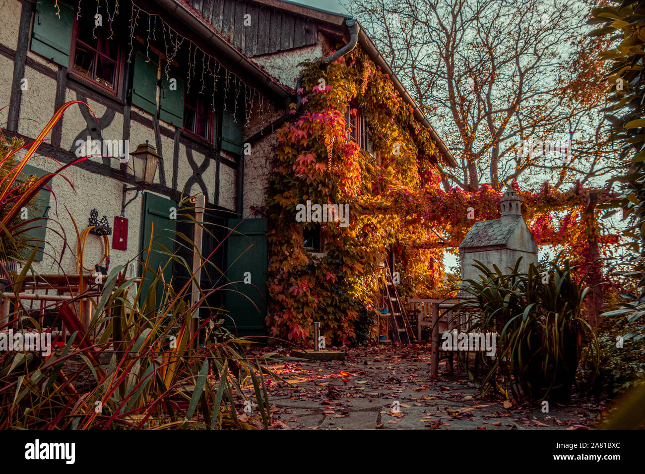 Blätter in einem Garten mit einem alten Haus Stockfoto