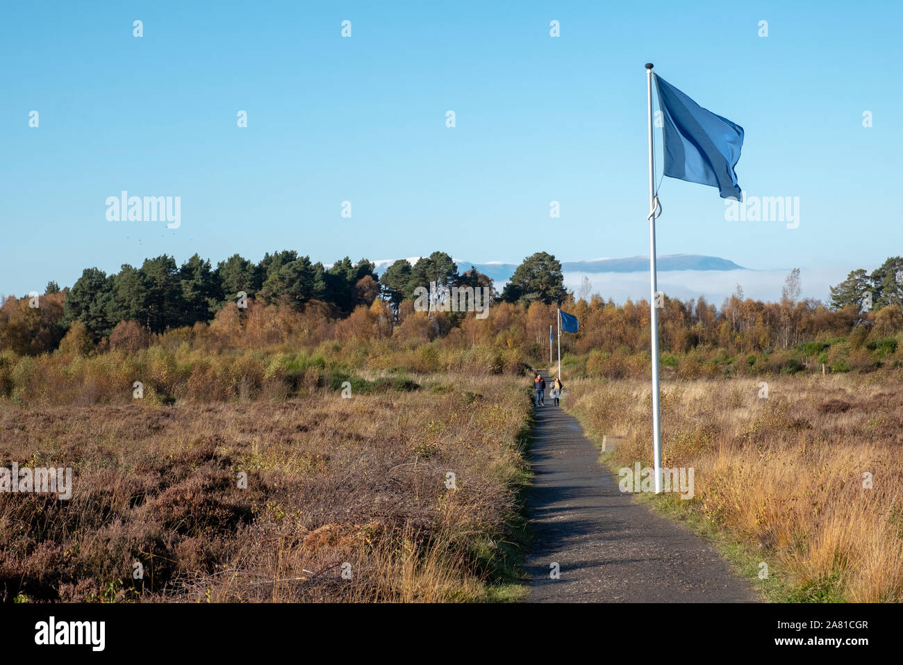 Blaue Fahnen und markieren Sie die Position des Jacobite Zeile vor der Schlacht von Culloden 1746. Culloden Moor, Inverness. Stockfoto