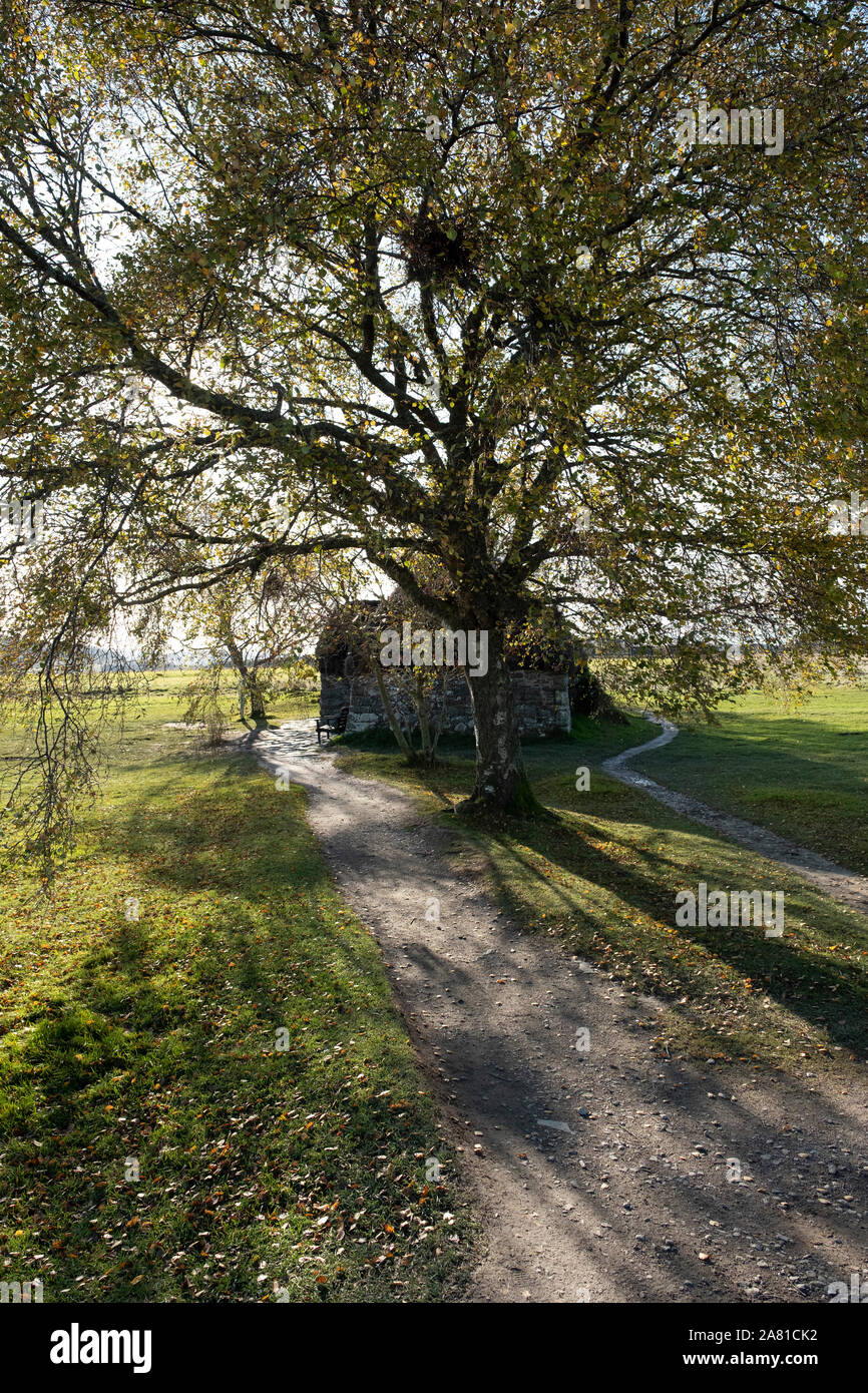 Leanach Cottage, Culloden Moor. Das Haus stammt aus der Zeit der Schlacht und wurde vor Kurzem von der National Trust für Schottland restauriert worden. Stockfoto