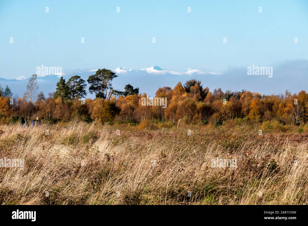Das Schlachtfeld von Culloden, Culloden Moor, Inverness. Stockfoto