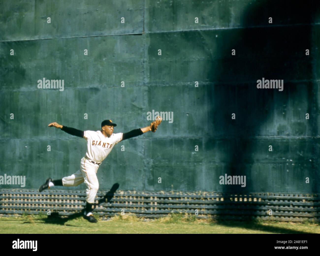 NEW YORK, NEW YORK - 1957: Willie Mays #24 der New York Giants einen Haken an der Wand macht während des Warm-ups, bevor ein MLB Spiel ca. 1957 in den Polo Grounds in New York, New York. (Foto von Hy Peskin) *** Local Caption *** Willie Mays Stockfoto