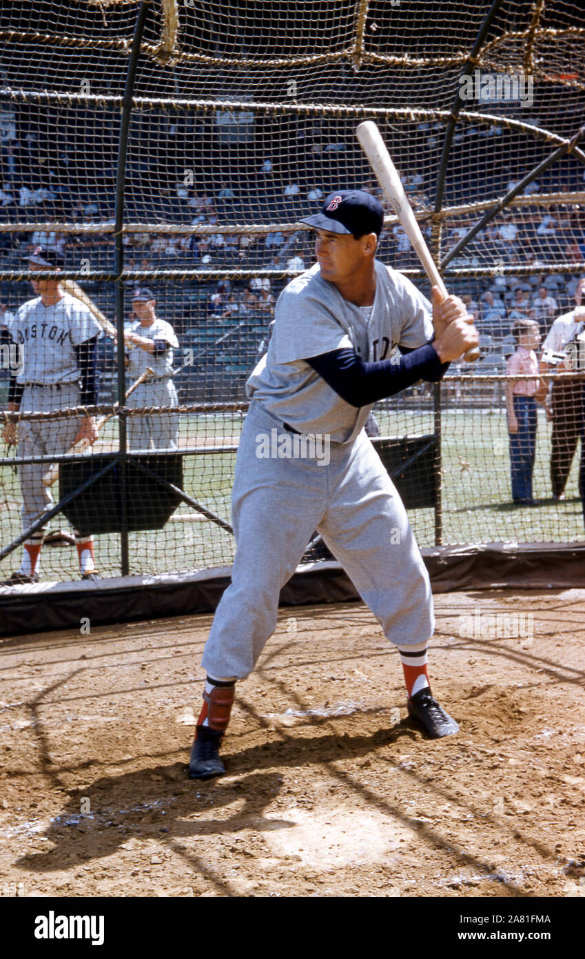 VERO Beach, FL - 18. März: Ted Williams #9 der Boston Red Sox nimmt schlagende Praxis vor eine MLB Spring Training gegen die Brooklyn Schwindler am 18. März in Vero Beach, Florida 1956. (Foto von Hy Peskin) (Satz Anzahl: X3619) Stockfoto