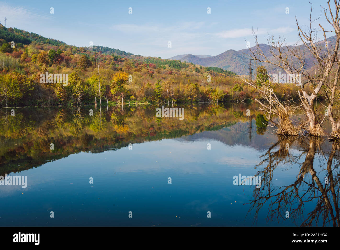 Herbst Landschaft auf sonnigen Tag. Trockene Bäume ragen aus einer ruhigen blauen Fluss mit Filialen, im blauen Wasser und farbenfrohen Herbst Wald wider. Stockfoto