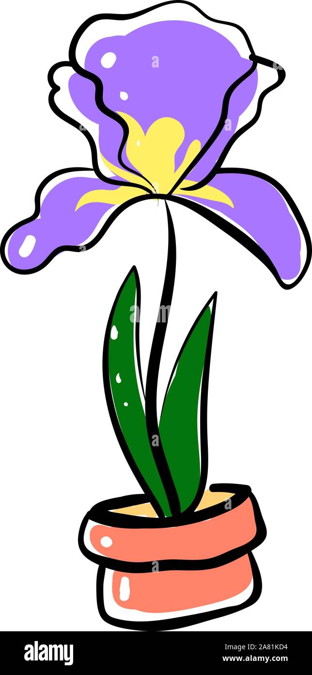 Iris Pot, Illustration, Vektor auf weißem Hintergrund. Stock Vektor