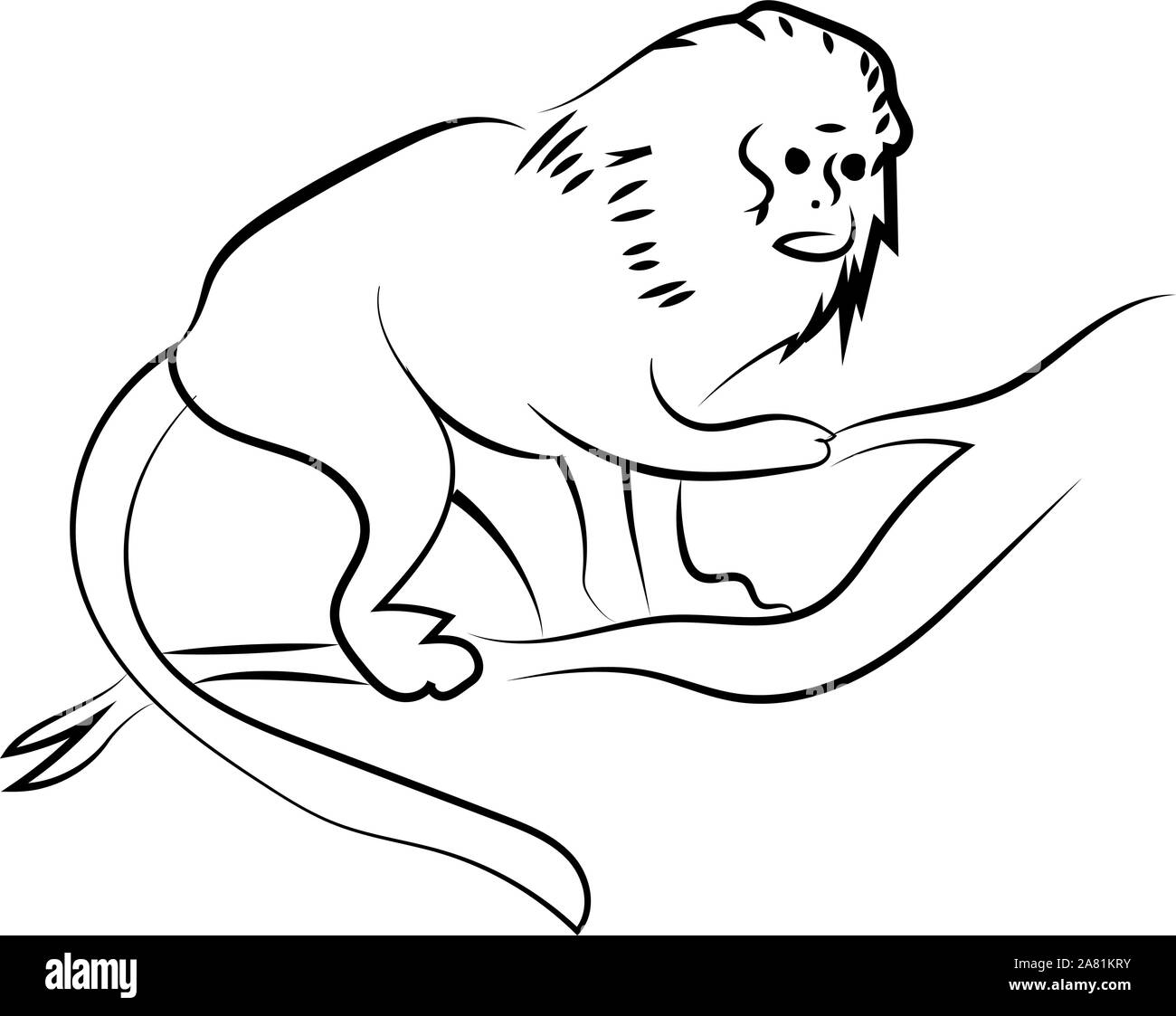 Monkey Zeichnung, Illustration, Vektor auf weißem Hintergrund. Stock Vektor