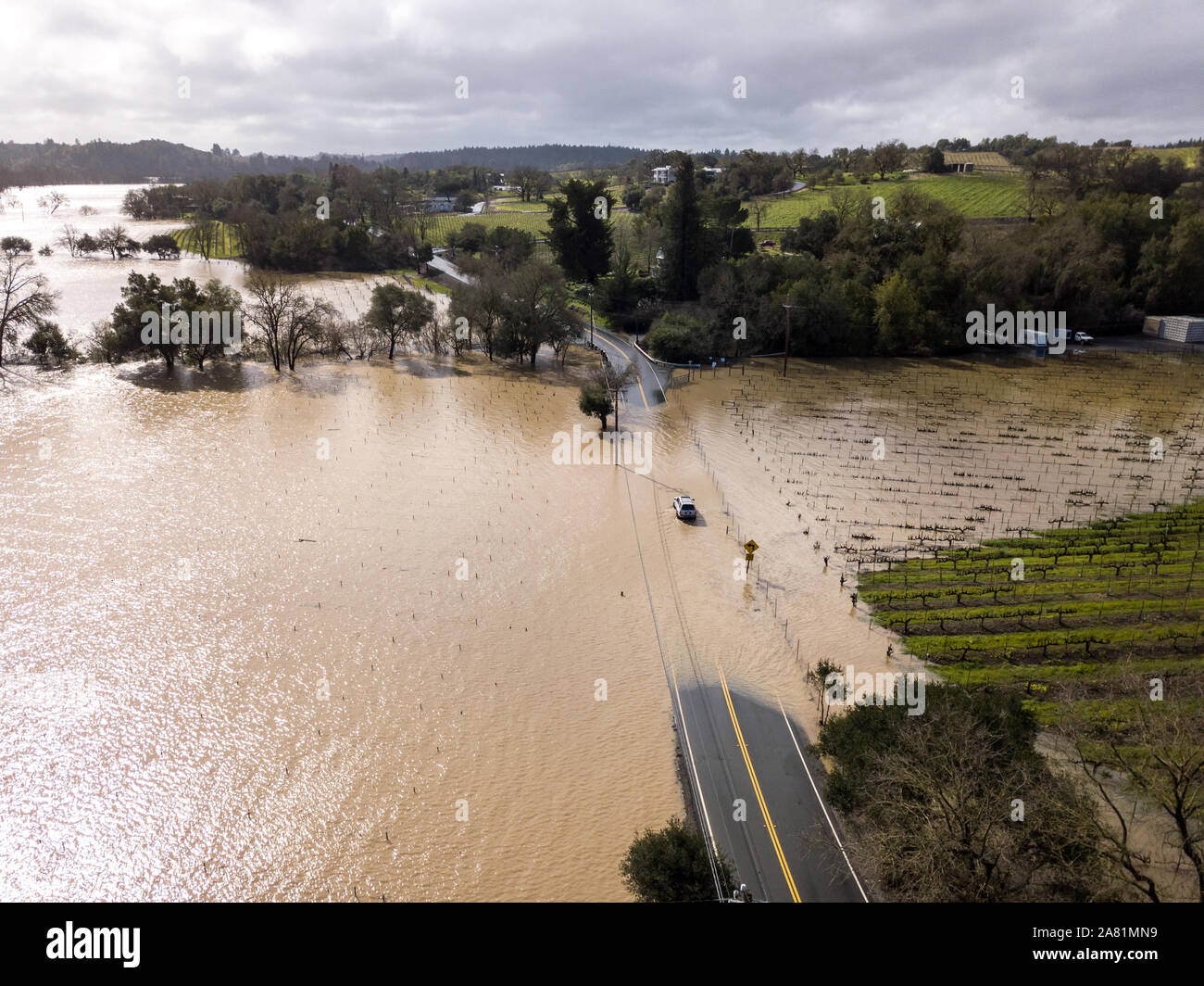 Überschwemmung neben der Russischen Fluss auf Westside Road. Healdsburg, Sonoma County, CA. 27. Februar 2019 Stockfoto