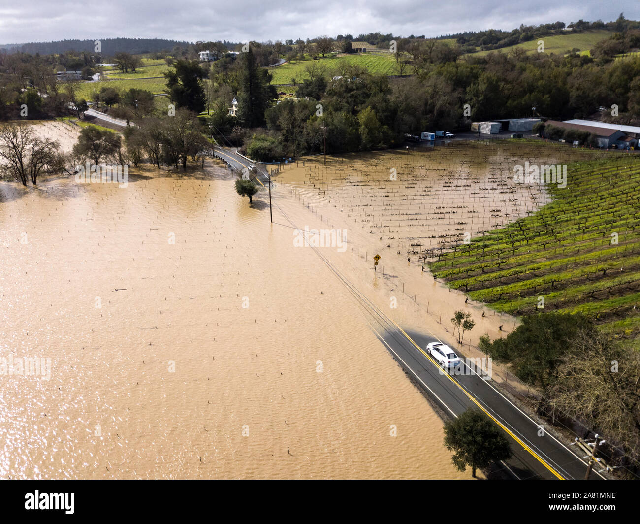 Überschwemmung neben der Russischen Fluss auf Westside Road. Healdsburg, Sonoma County, CA. 27. Februar 2019 Stockfoto